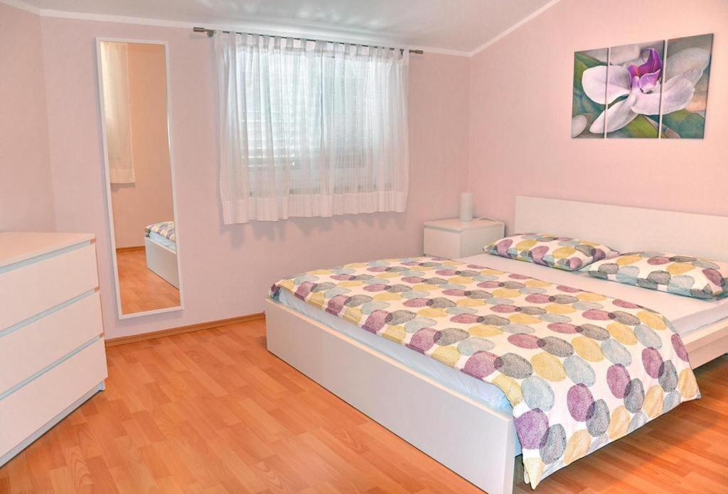 Apartment Lajter *